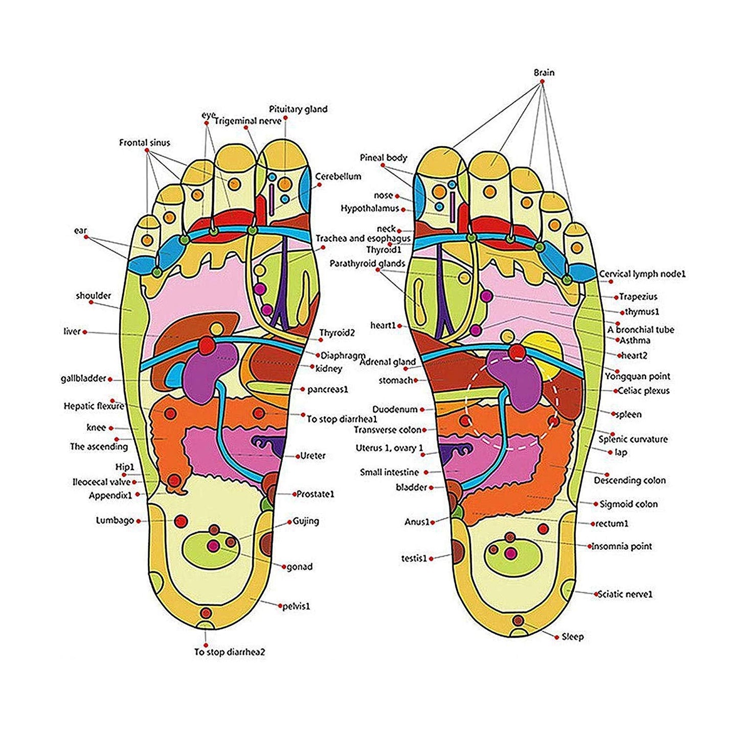 Acupressure Foot Relaxer Massager Slippers